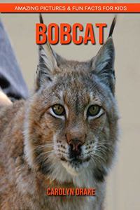 Bobcat: Amazing Pictures & Fun Facts for Kids