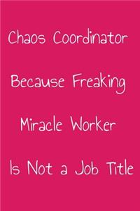 Chaos Coordinator Because Freaking Miracle Worker Is Not a Job Title