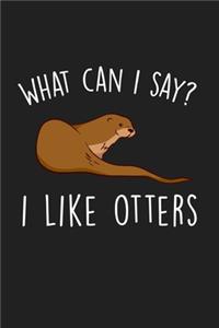 What Can I Say I Like Otters