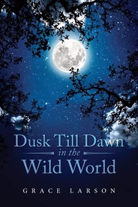 Dusk Till Dawn In The Wild World