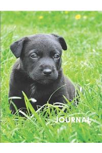 Journal: Labrador Puppy Notebook - 8.5 x 11 inches - Perfect Gift for a Loved One