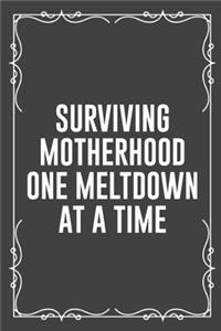 Surviving Motherhood One Meltdown at a Time