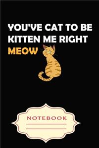 You've Cat to Be Kitten Me Right Meow