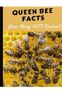 Queen Bee facts You may not Know