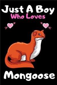 Just a boy who loves mongoose