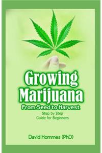 Growing Marijuana