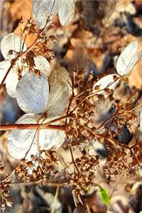 Dry Hydrangea Flowers 2019 Weekly Planner 134 Pages