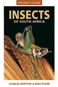 Pocket Guide: Insects of South Africa