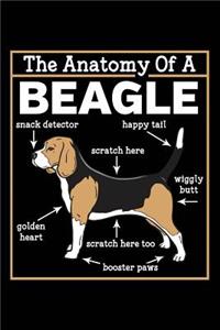 Anatomy of a Beagle