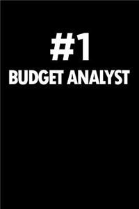 Number 1 Budget Analyst