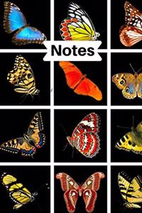 Notes