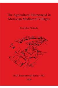 Agricultural Homestead in Moravian Mediaeval Villages