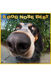 Dog Nose Best, a 2020 Square Wall Calendar