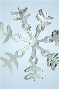 Snowflake 4 Journal