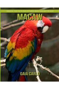 Macaw