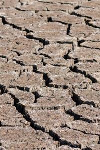 Dry Cracked Ground from a Drought in a Swamp Journal