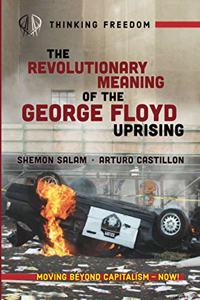 Revolutionary Meaning of the George Floyd Uprising