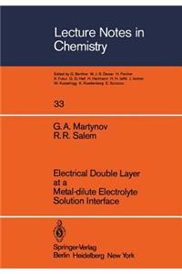 Electrical Double Layer at a Metal-Dilute Electrolyte Solution Interface