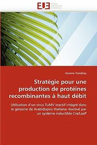 Stratégie Pour Une Production de Protéines Recombinantes À Haut Débit