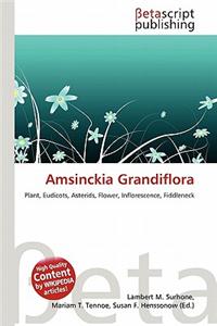 Amsinckia Grandiflora