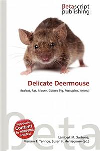 Delicate Deermouse