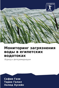 Мониторинг загрязнения воды в египетски