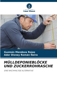 Mülldeponieblöcke Und Zuckerrohrasche