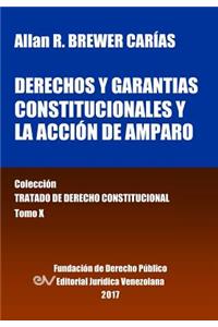 Derechos y garantías constitucionales y la acción de amparo. Tomo X. Colección Tratado de Derecho Constitucional