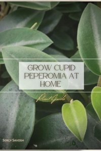 Grow Cupid Peperomia at Home