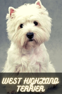 West Highland Terrier