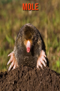 Mole