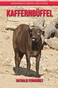Kaffernbüffel