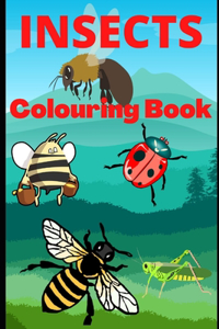 Insects colouring Book