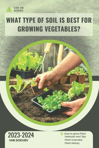 What type of soil is best for growing vegetables?