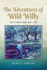 Adventures of Wild Willy