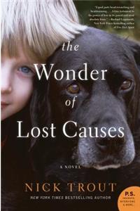 The Wonder of Lost Causes