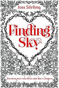 Finding Sky