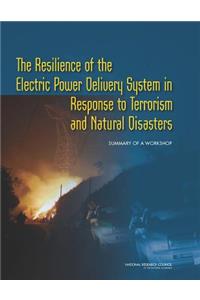Resilience of the Electric Power Delivery System in Response to Terrorism and Natural Disasters