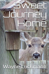 Sweet Journey Home