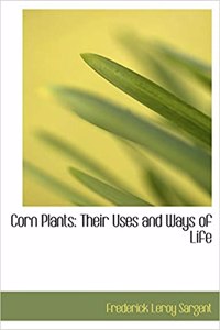 Corn Plants