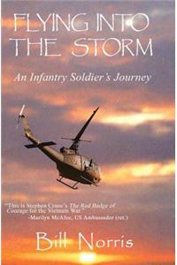 Flying Into The Storm