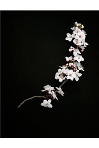 Cherry Branch
