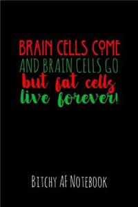 Brain Cells Come and Brain Cells Go But Fat Cells Live Forever