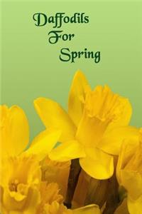 Daffodils for Spring
