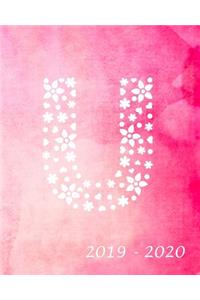 U 2019 - 2020