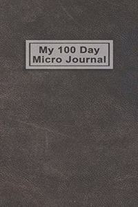 My 100 Day Micro Journal