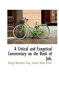A Critical and Exegetical Commentary on the Book of Job,