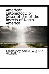 American Entomology, or Descriptions of the Insects of North America.