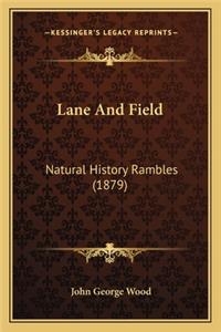 Lane And Field