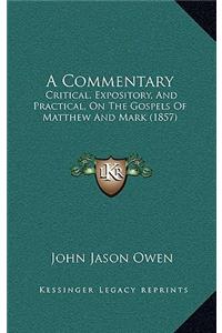 A Commentary: Critical, Expository, And Practical, On The Gospels Of Matthew And Mark (1857)